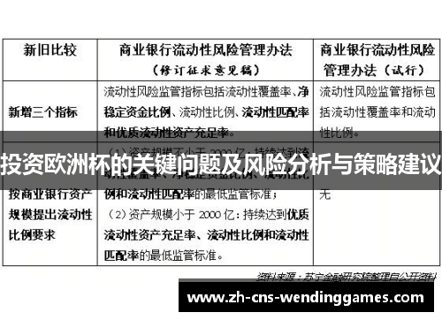 投资欧洲杯的关键问题及风险分析与策略建议