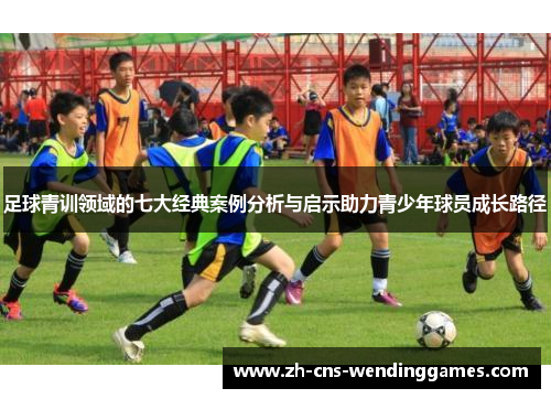 足球青训领域的七大经典案例分析与启示助力青少年球员成长路径