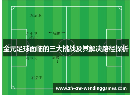 金元足球面临的三大挑战及其解决路径探析