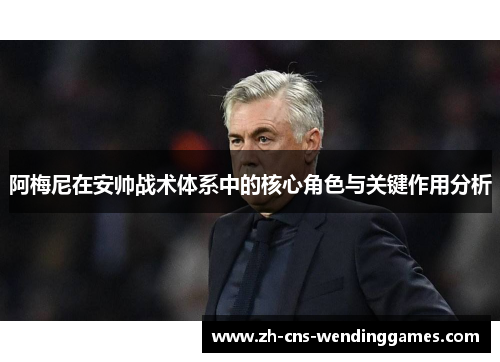 阿梅尼在安帅战术体系中的核心角色与关键作用分析