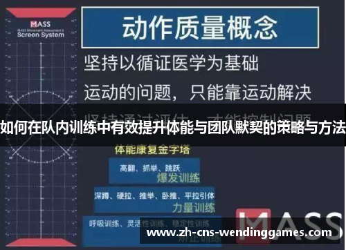如何在队内训练中有效提升体能与团队默契的策略与方法