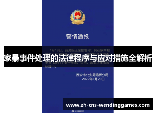 家暴事件处理的法律程序与应对措施全解析
