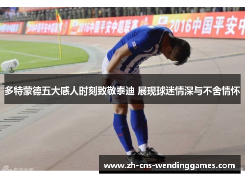 多特蒙德五大感人时刻致敬泰迪 展现球迷情深与不舍情怀