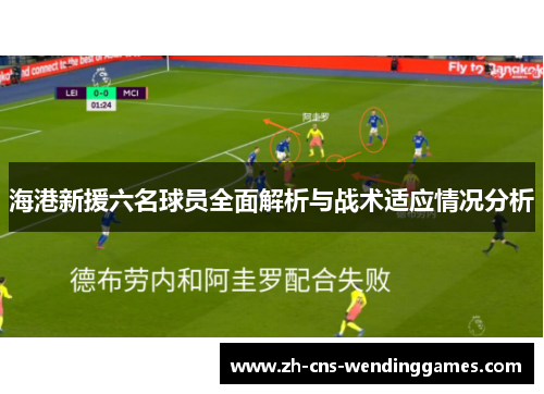 海港新援六名球员全面解析与战术适应情况分析