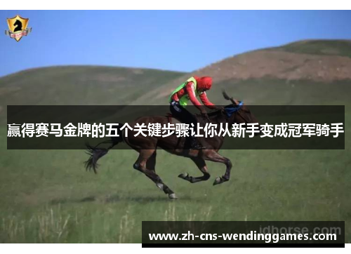 赢得赛马金牌的五个关键步骤让你从新手变成冠军骑手