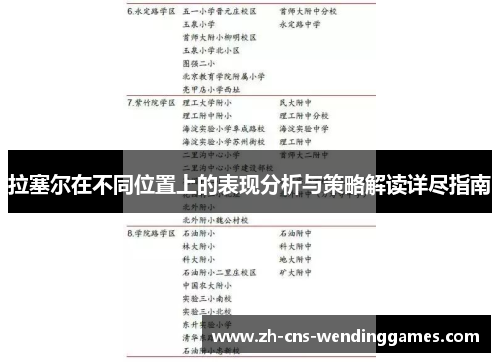 拉塞尔在不同位置上的表现分析与策略解读详尽指南