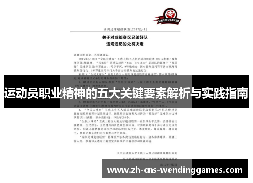 运动员职业精神的五大关键要素解析与实践指南