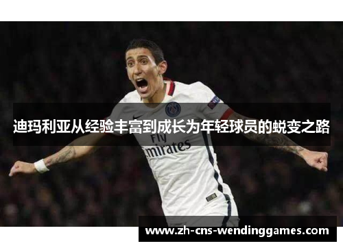 迪玛利亚从经验丰富到成长为年轻球员的蜕变之路 迪玛利亚从经验丰富到成长为年轻球员的蜕变之路
