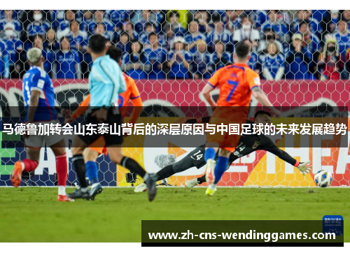 马德鲁加转会山东泰山背后的深层原因与中国足球的未来发展趋势