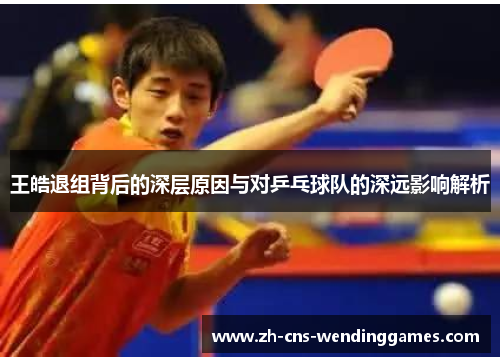 王皓退组背后的深层原因与对乒乓球队的深远影响解析