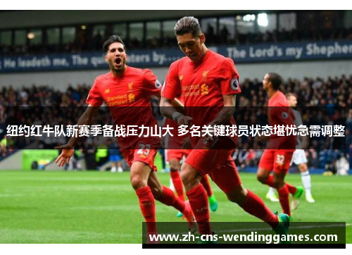 纽约红牛队新赛季备战压力山大 多名关键球员状态堪忧急需调整