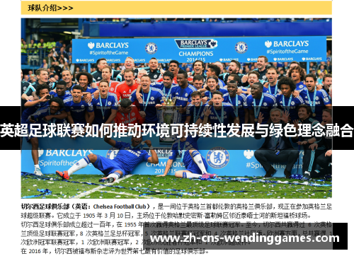 英超足球联赛如何推动环境可持续性发展与绿色理念融合 英超足球联赛如何推动环境可持续性发展与绿色理念融合
