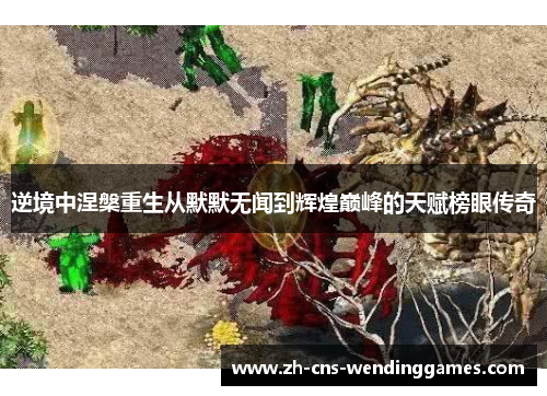 逆境中涅槃重生从默默无闻到辉煌巅峰的天赋榜眼传奇